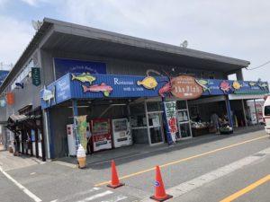 【the Fish（ザフィッシュ）】富津市金谷のザ・フィッシュでの海鮮飯とお土産！