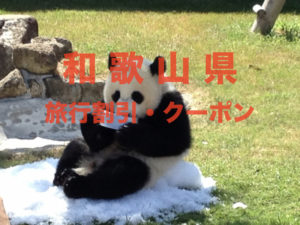 【和歌山旅行】格安割引クーポン&キャンペーン一覧|GoToや復興割まとめ