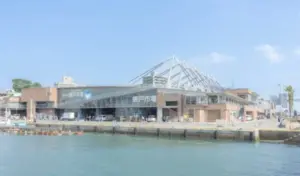 唐戸市場｜楽しみ方完全ガイド！海鮮グルメと人気イベントを徹底紹介ブログ