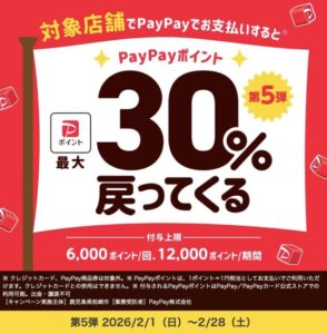 枕崎市PayPayキャンペーンの概要
